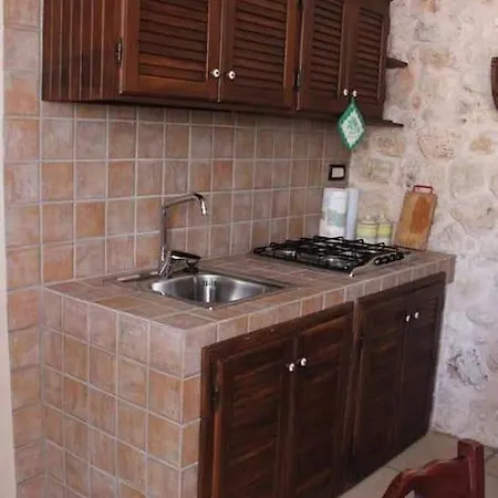 Pajaro Nicolo * Cursi